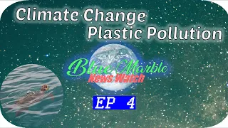 Why sea turtles (Caretta caretta) eat plastic? | Climate change is turning all sea turtles female!