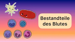 Bestandteile des Blutes