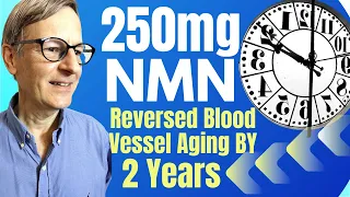 250mg NMN Reversed Blood Vessel Aging By 2 Years In Human Trial | Review By Modern Healthspan