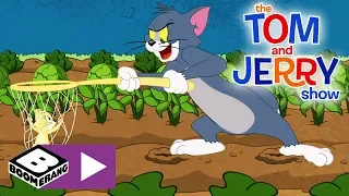 The Tom & Jerry Show | Tom Chases Down A Gopher | Boomerang UK 🇬🇧