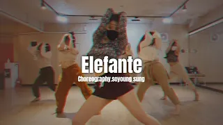 Elefante - NK | Soyoung Sung Choreography