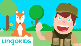 A Hunting We Will Go - Nursery Rhymes | Lingokids