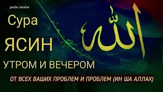 🔊 Сура "Ясин, "Утром и Вечером"سورة يس Очень сложные проблемы будут решены Ин Ша Аллах