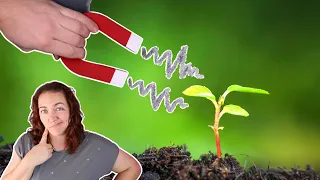 What happens when you put a magnet under a seed?!