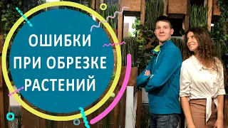 Ошибки при обрезке растений. Интервью с Алексеем Соловьёвым. Серия 2