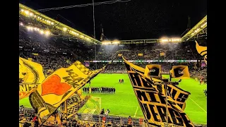 BVB Dortmund - Düsseldorf (5:0)  Fans / Stimmung / Süd / Tore 07.12.2019