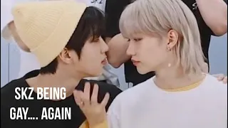 Stray kids are really just gay kids pt2