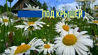 КУН ДЯДЯ КОТ. ПОД КРЫШЕЙ ДОМА ЮРИЯ АНТОНОВА . ВЫПУСК 90