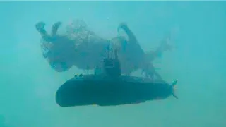 Diver Captures What No One Was Supposed to See #2