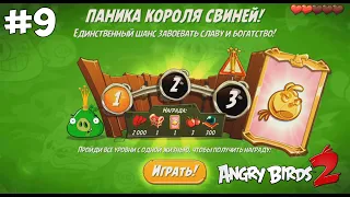 King Pig Panic/Паника короля свиней #9. Angry Birds 2.