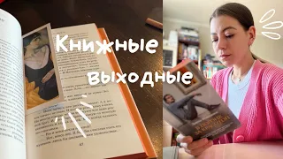 книжные выходные || французы, крысы и наглая кошка