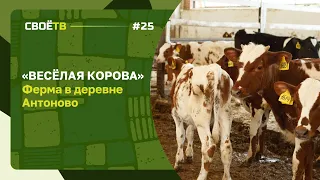 Молочная ферма в деревне Антоново - СВОЁ с Андреем Даниленко