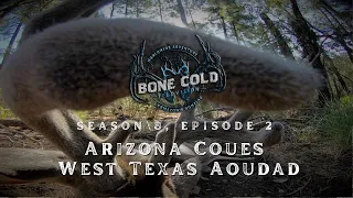 Season 8 Episode 2 Arizona Coues Deer and West Texas Aoudad