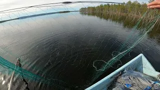 Verkkokalastusta Kitkajärvellä. Osa 26 - kohti selkävesiä II.