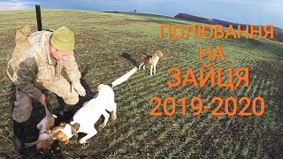 Полювання на зайця 2019 2020