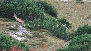 Red Deer Hunting in the Alps - Deer Rut on the Grossglockner - jagenNRW - with SUBTITLES