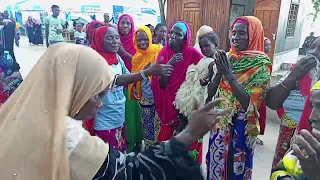 LAMU CULTURAL FESTIVAL 2022 TRADITIONAL DANCE SEAFRONT