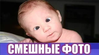 Смешные фото новые 😄 Лучшие приколы 😄 Funny faces 😄