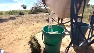 In a cycle of extreme weather, drought in southern Africa leaves some 20 million facing hunger