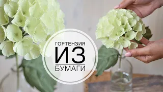 Hydrangea made of paper, easy and simple / Гортензия из бумаги, легко и просто / DIY Tsvoric