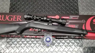 Ruger 10/22 Air Rifle "Complete Review" by Airgun Detectives