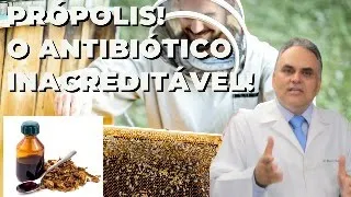 Própolis! O antibiótico natural fantástico. Uma obra prima da Natureza!