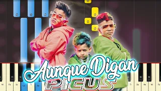 PICUS - Aunque Digan