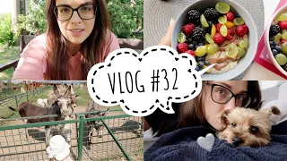 Zvířátka na farmě, nemocná Mia | VLOG #32/2020 | MaruškaVEG