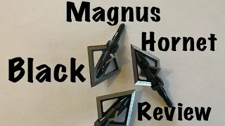 My Review Black Hornet Broadhead !!