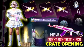 New Bunny Muchkin AKM Crate Opening | New Bunny AKM Crate Opening | BGMI New Crate Opening | BGMI |