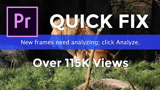 New Frames Need Analyzing HOW TO FIX in Premiere Pro in 2023 Tutorial