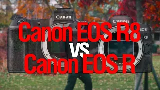 [Стрим] Canon R8 vs Canon R. Обновляемся?