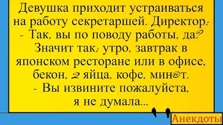 Новая секретарша и минет директору... Лучшие длинные анекдоты и жизненные истории 2022