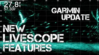 New LiveScope Features Available NOW!!!