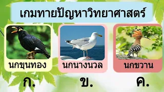 เกม ทายปัญหาวิทยาศาสตร์ ระดับประถม 10 ข้อ | wawa kids art