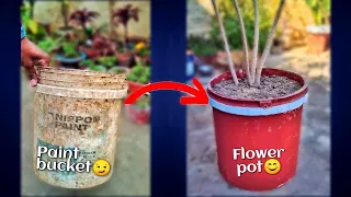 Make flower pot with paint bucket | Recycling paint bucket 🪣 | #shorts