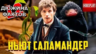 12 Фактов Ньют Саламандер!