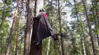 Ведьма (баба Яга) врезалась в дерево!