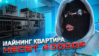 Майнинг квартира несет 40000р