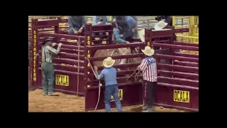 Bull attack in Rodeo