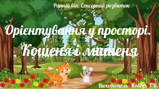 Ранній вік. Сенсорний розвиток. Орієнтування у просторі. ЗДО №159 "Сузір'я" м. Запоріжжя