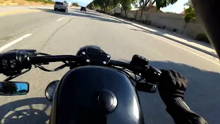 Sportster Iron 883 stage 1 [RAW SOUND] walk around