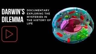 Darwin's Dilemma - Creation Documentary / Дилемата на Дарвин Бг Субс