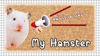 Meet my hamster for the first time & Pet Expo Thailand 2020 | My Hamster