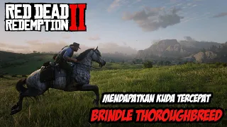 RDR2 | KUDA TERCEPAT BRINDLE THROUGHBREED