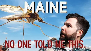 No One Will Talk About This : Living In Maine | Moving to Maine