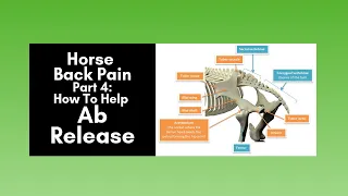 Horse Back Pain Part 4: How to Help: The Ab Release (2020)