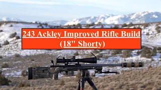 243 Ackley Improved Rifle Build, (18" Shorty)