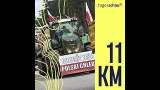 Wie der Krieg gegen die Ukraine polnische Bauern ruiniert | 11KM - der tagesschau-Podcast