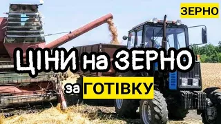 Ціни на зерно 30.05! Соняшник до 17000. Хто реально купує кукурудзу, ячмінь і сою